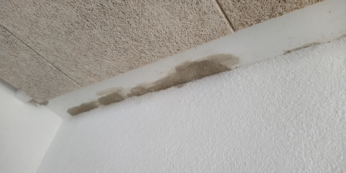 Kleinere Spachtelarbeiten an der Decke